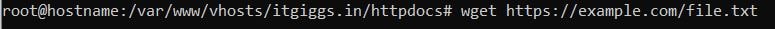 wget command in ssh
