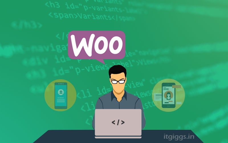 woocommerce for beginners